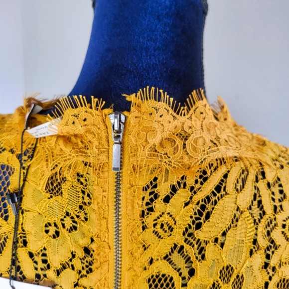 Zara Tops Zara Trafaluc Embroidered Lace Mustard Yellow Top Poshmark